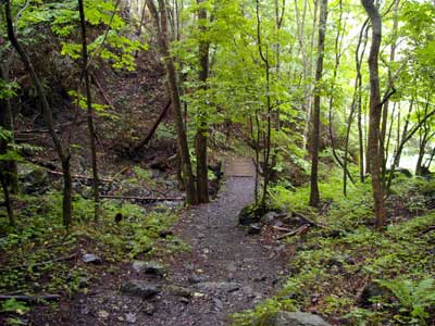 御巣鷹山 登山道